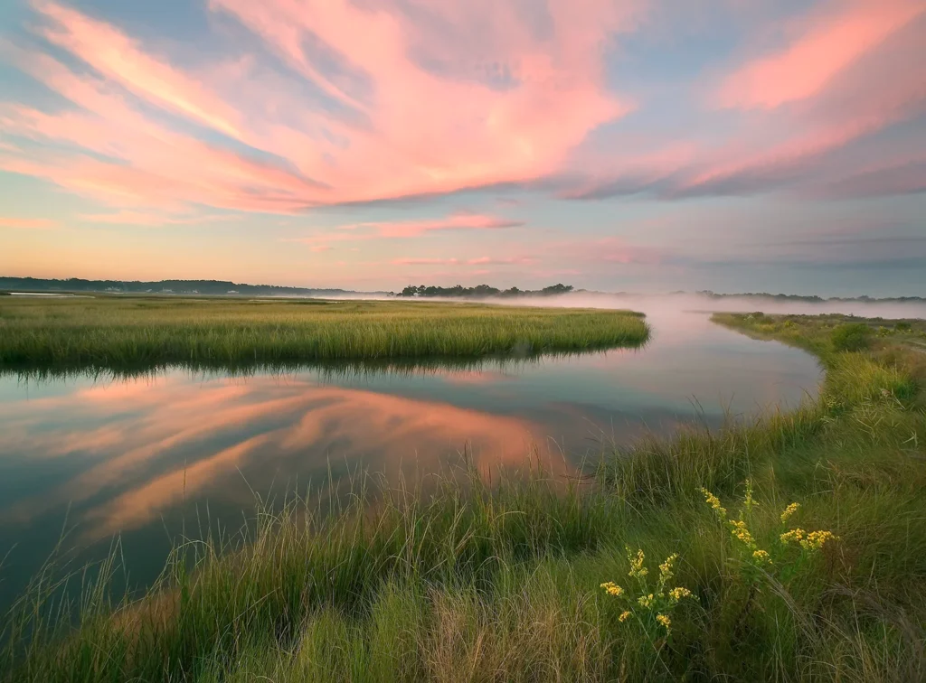 Pink sunset marsh picture